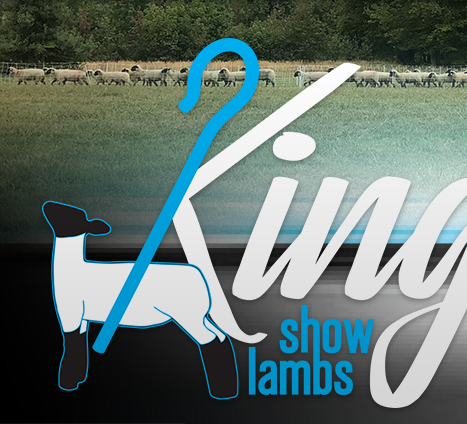 King Show Lambs